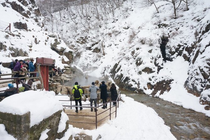 1-Day Snow Monkeys, Zenko-ji Temple & Sake in Nagano - Jigokudani Snow Monkey Park: the hike, the onsen moments, and the rules