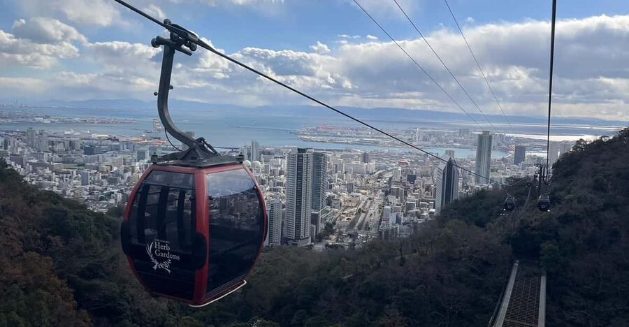 1-Day Walking Tour around Kobe : Mountains, Sea and Sake - Nada-gogo sake district: learning how sake is made