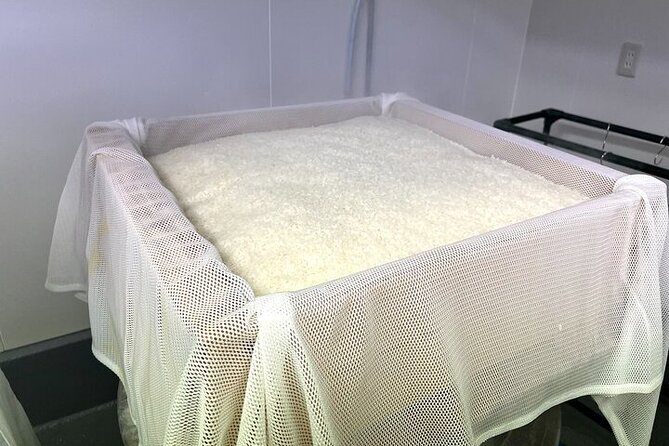 Cultural Sake Brewery Private Tour & Unlimited Tasting Near Tokyo - Meet the toji: turning words into real brewing insight