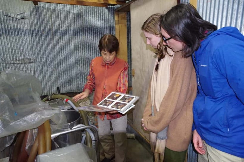 Explore Matsumoto: Castle, Sake & Taste of Local Life - Should you book Explore Matsumoto: Castle, Sake & Taste of Local Life?