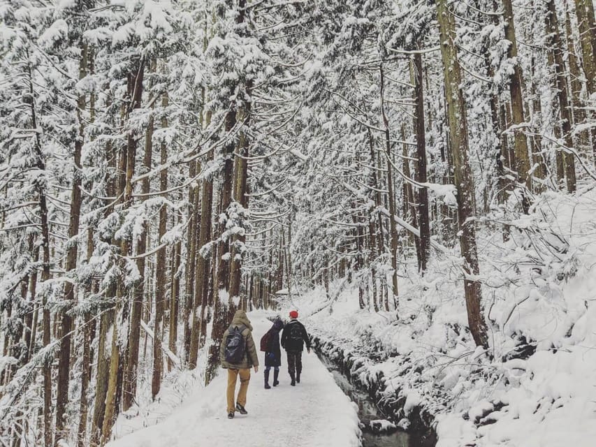 From Nozawa Onsen: Snow Monkeys and Zenko-ji Day Trip & Sake - Jigokudani Snow Monkey Park: what to watch for and how to stay safe