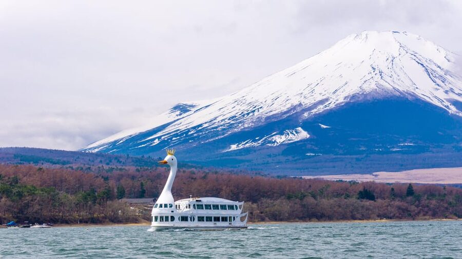 From Tokyo: Mount Fuji, Cruise and Sake Tour - Why this Mount Fuji day trip works: cruise, altitude, and tasting