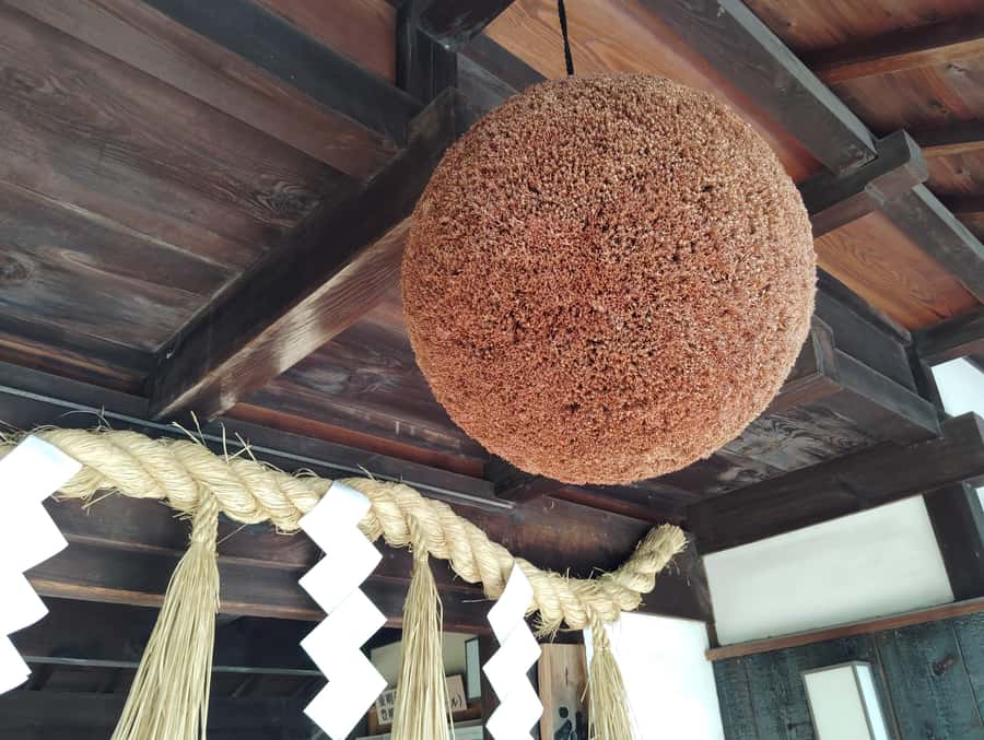 Kobe: 3-Hour Sake Breweries Tour with Special Tasting - What you learn on the brewing side (rice polishing to fermentation)