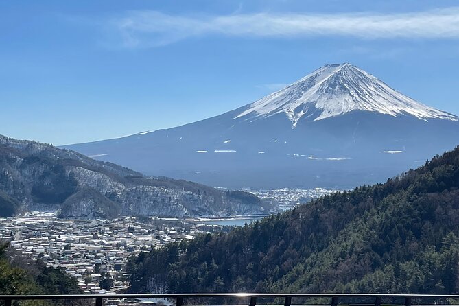 Mt FUJI - Panoramic Tour w/ Hoto Lunch, JP Sake & Onsen tatto OK! - Why This Mt Fuji Panoramic Day Trip Beats a Big Bus