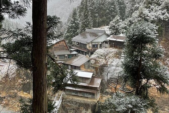 Nagano: Snow Monkey and Zenkoji Temple Free Sake Taste Day Tour - Price and value: $560 per group, and what you should budget separately