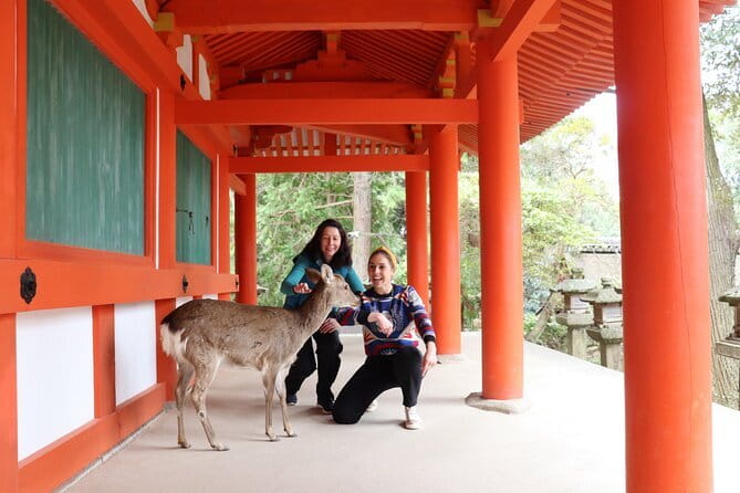 Nara Sake Tasting Tour at Local Brewerie(tasting fee included) - Guides make or break a sake tour