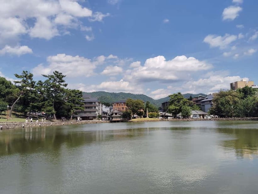 Nara: Sake Tasting Tour at the Birthplace of Japanese Sake - Price and value: is $119 fair for 3 hours?