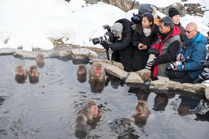 Private Nagano 1-Day Tour:Snow Monkeys,Zenko-ji,Obuse,Sake,Onsen - Stop 2: Zenko-ji Temple in Nagano City (7th-Century Gravity)