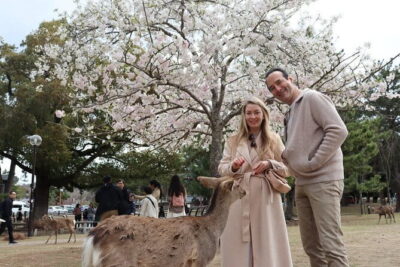 Private Nara Tour and Sake Tasting (Departing from Kyoto/Nara) - Price and what you’re really paying for