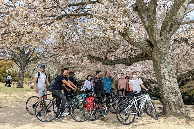 Private Nara Tour and Sake Tasting (Departing from Kyoto/Nara) - Stop 1: Kofuku-ji and that five-story pagoda presence