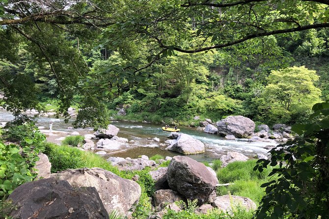 Private Tour: Tokyo's Oldest Sake Brewery and Riverside Walk - Comfort, timing, and what to wear in the Tama valley