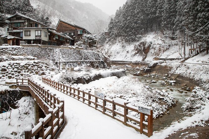 Snow Monkey, Zenko Ji Temple, Sake in Nagano Tour - Why this Nagano private tour feels easier than DIY days
