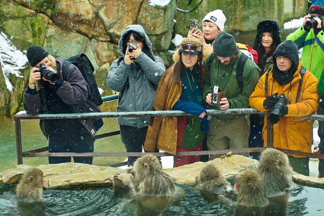 Snow Monkeys, Hokusai & Sake: A Perfect Day in Nagano - Nagano, Condensed: Nature and Culture Without the Stress
