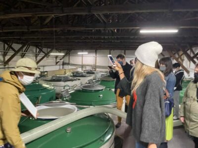 Tokyo: Toshimaya Sake Brewery Tour with Sake Tasting - The 2-Hour Flow: Brewing Steps, Then a Real Tasting Session