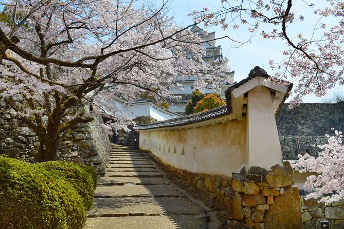 World Heritage Himeji Castle & Sake Breweries Private Tour - Virtual reality at the castle: why it’s more than a novelty