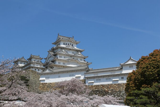 World Heritage Himeji Castle & Sake Breweries Private Tour - Nadagiku Shuzo: history, exhibits, and a private tasting session
